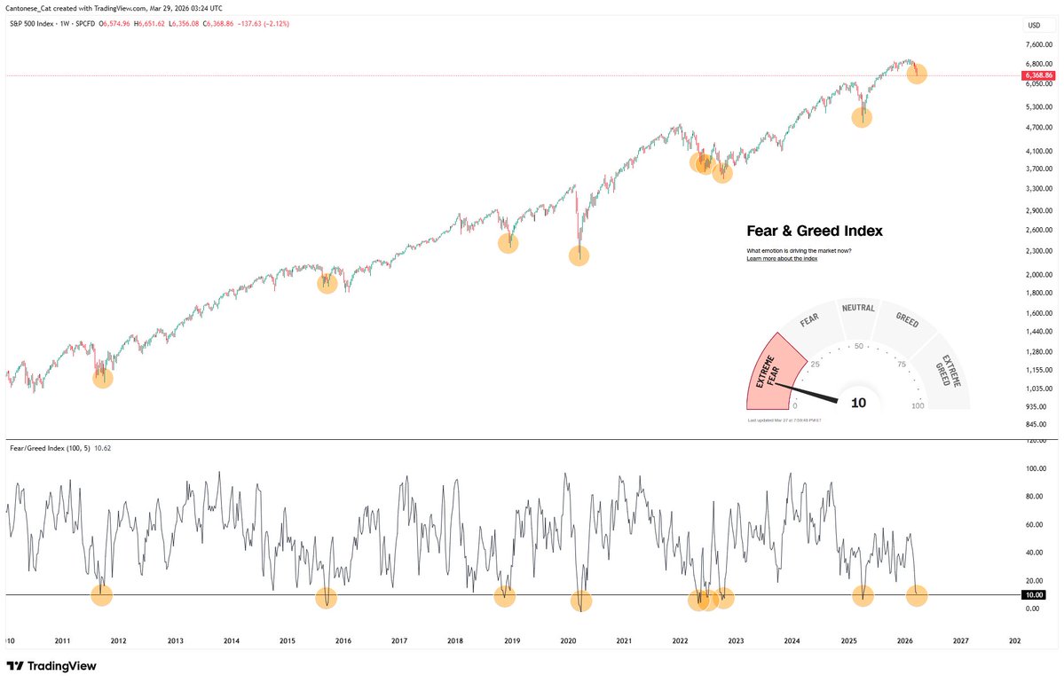 Cantonese Cat 🐱🐈 tweet media