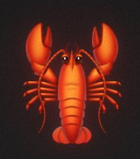 DDFP🦞 tweet media