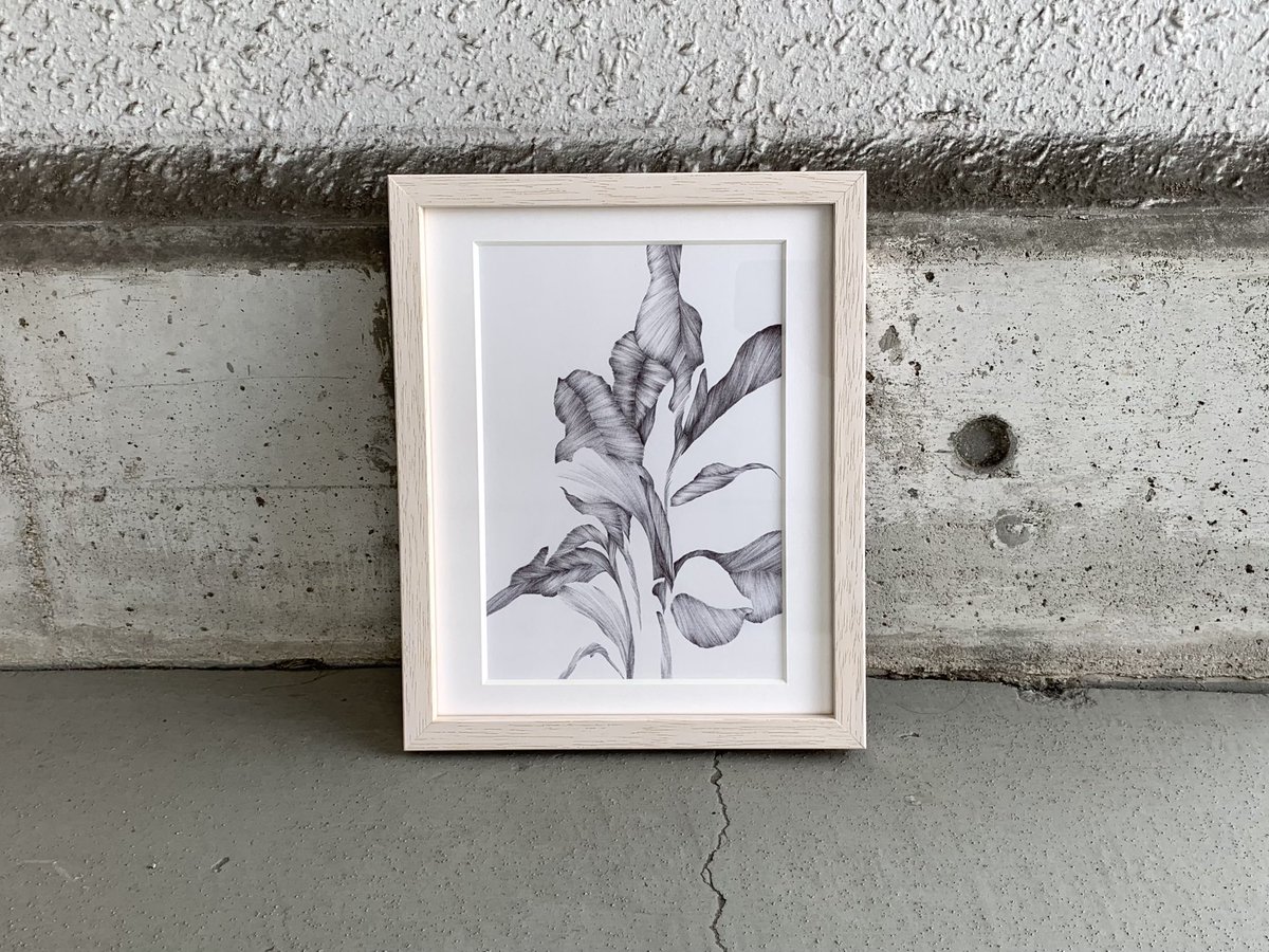 hide and seek
｜
春は植物たちの目覚めを感じる
彼らの静かな息吹と
まだ見えない隠された生命をテーマに
描きました
#ボールペン画
#花