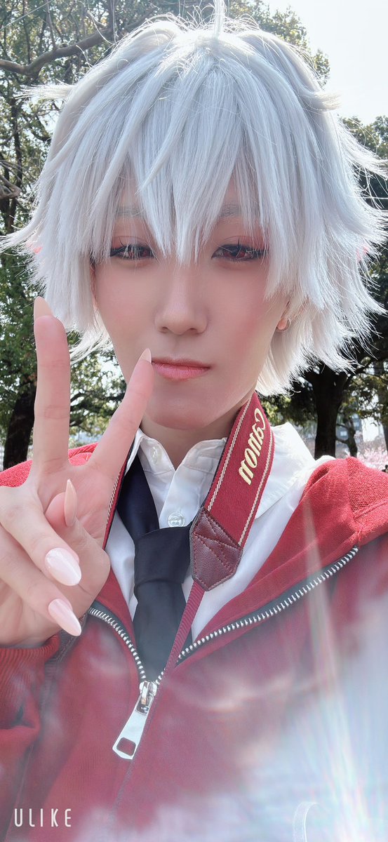 あかつき tweet media