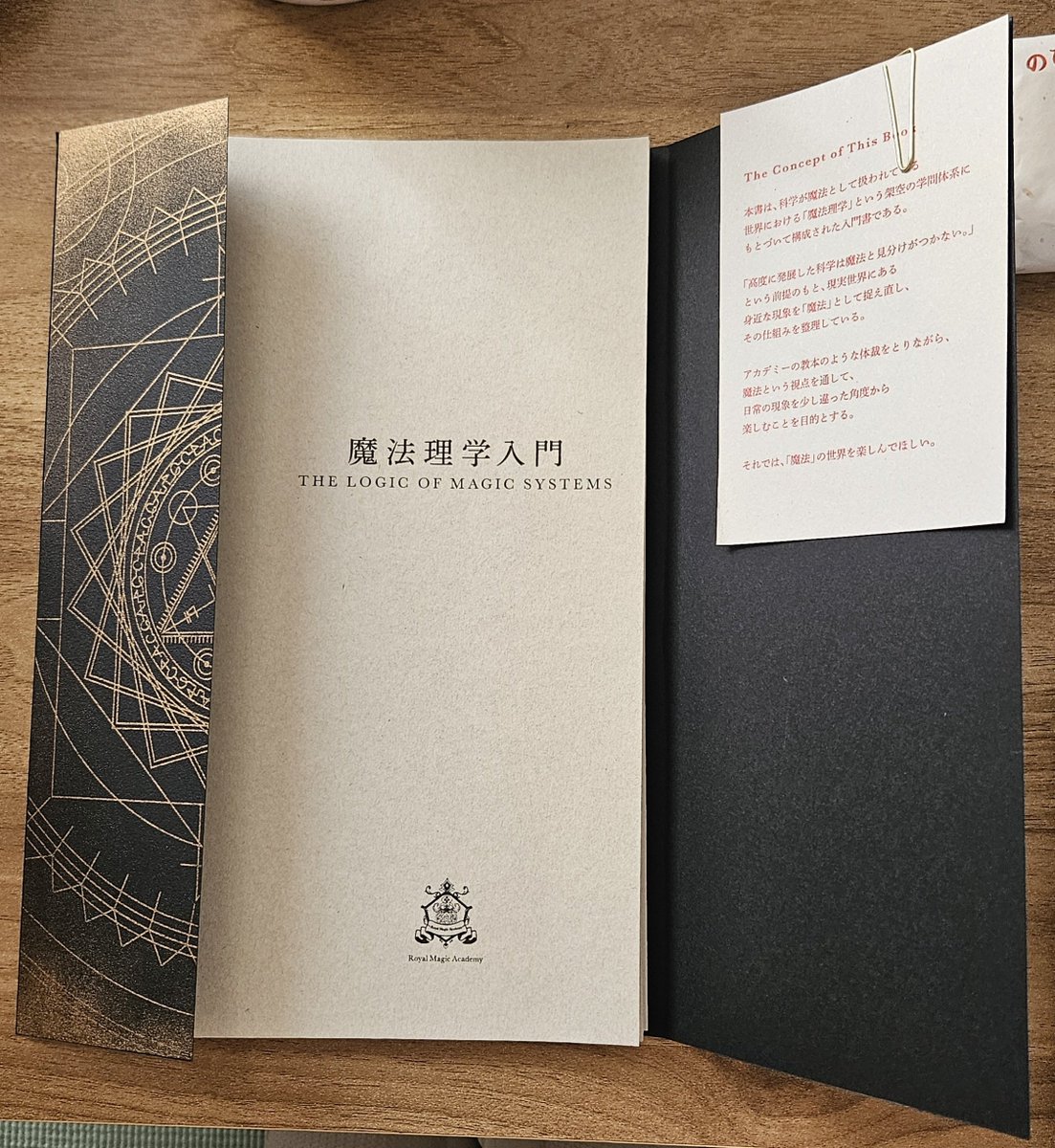 昨日のZINEフェス吉祥寺で買った「魔法理学入門」。
魔法の世界観に浸れる面白い本。
最後の一冊だったらしいから買ってよかった。