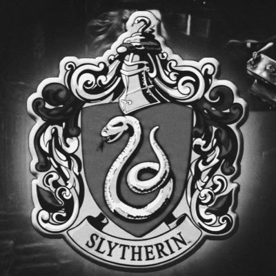 Acervo Sonserina🐍⃝⃒⃤. tweet media