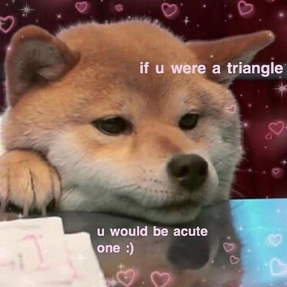 WholesomeMemes tweet media