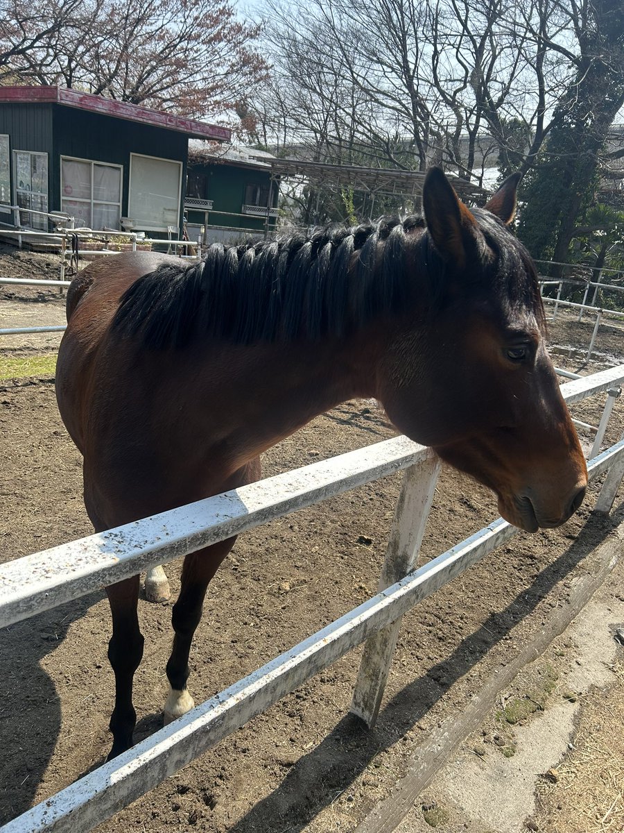 チャチャ tweet media