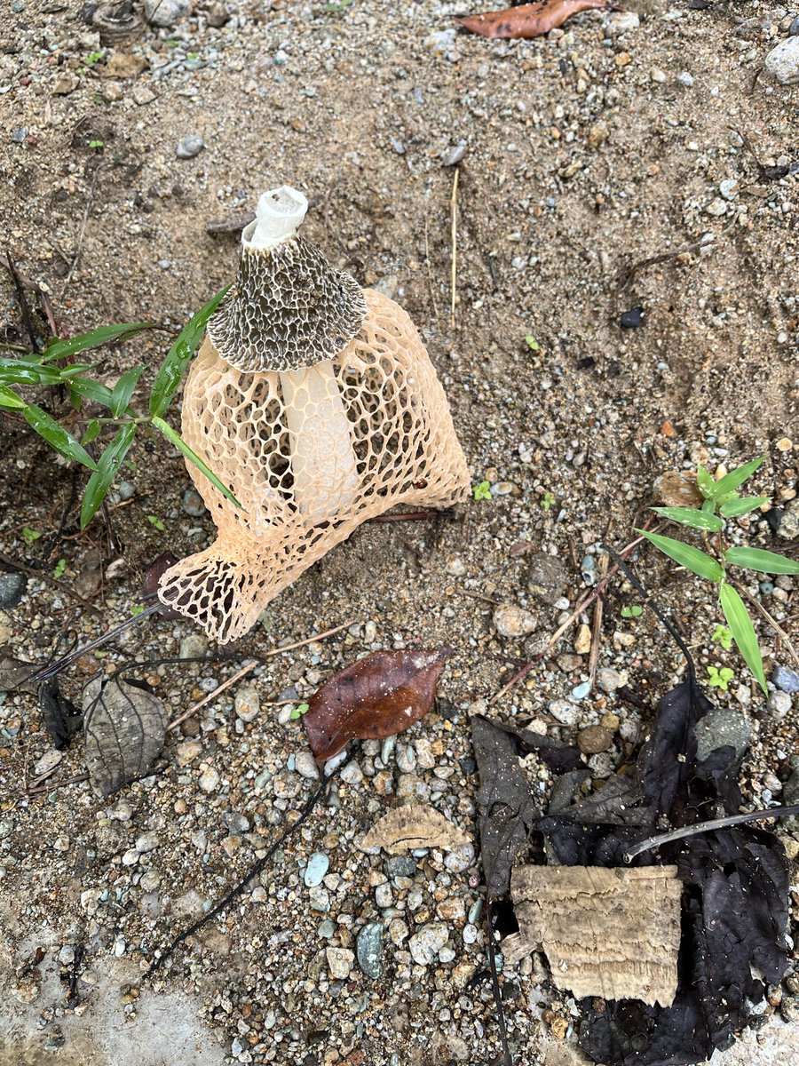 kalemmm uy tweet media