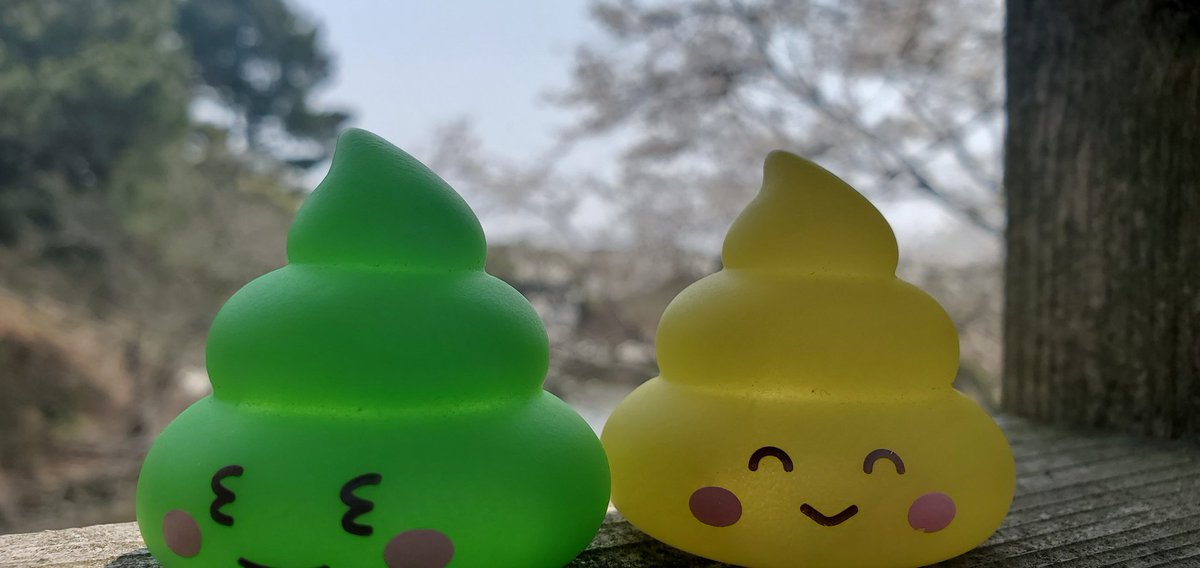 むぅたん🐥⸒⸒piyo tweet media