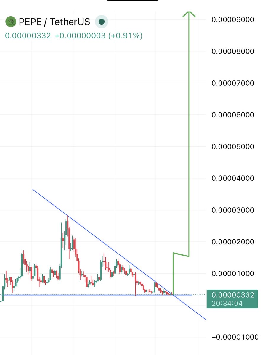 TOP GAINER TODAY tweet media