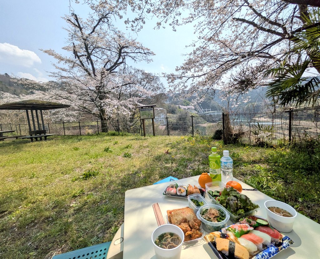 さっちゃん☆Kani tweet media