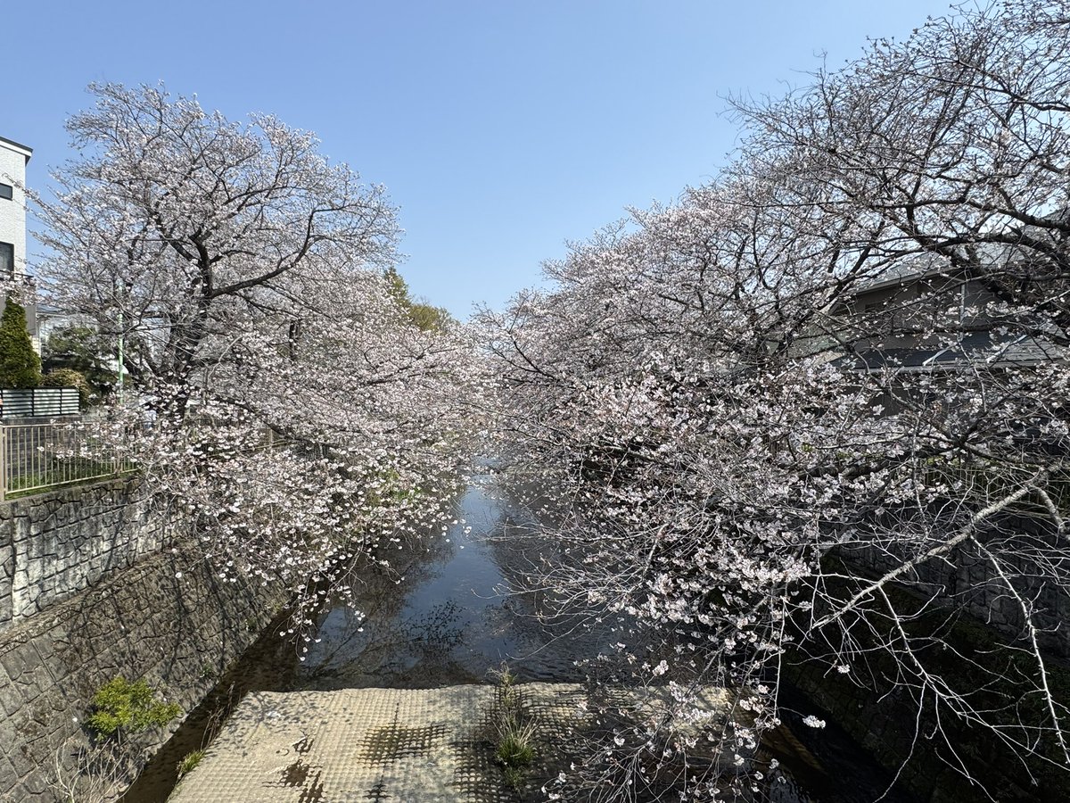 Ma-channel🏍SSTR2026初参加準備中😊👍 tweet media