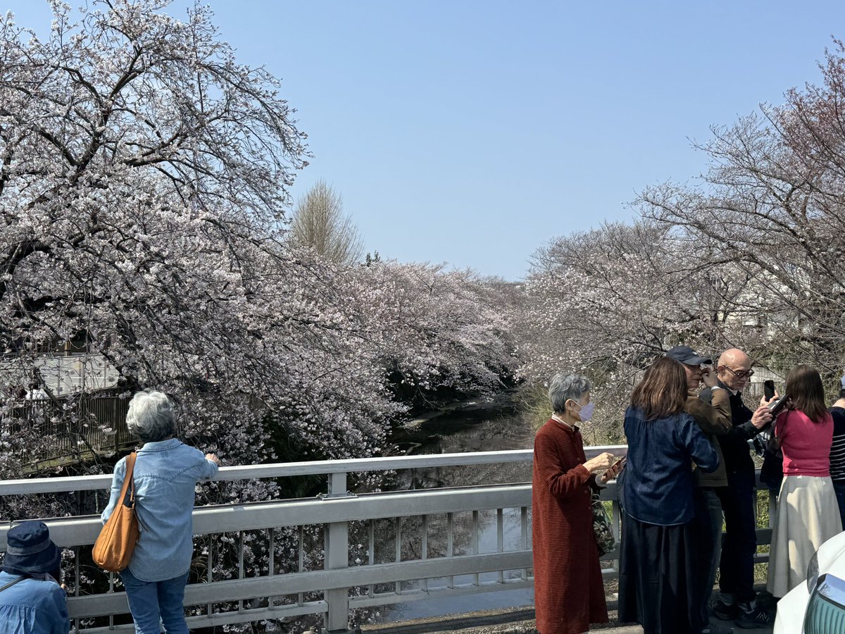 Ma-channel🏍SSTR2026初参加準備中😊👍 tweet media