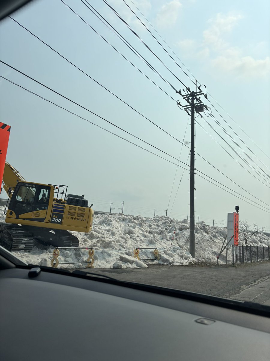 ツチノコ tweet media