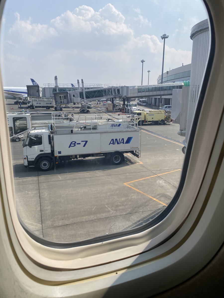 バクさん)啓発歌手バクテリア tweet media