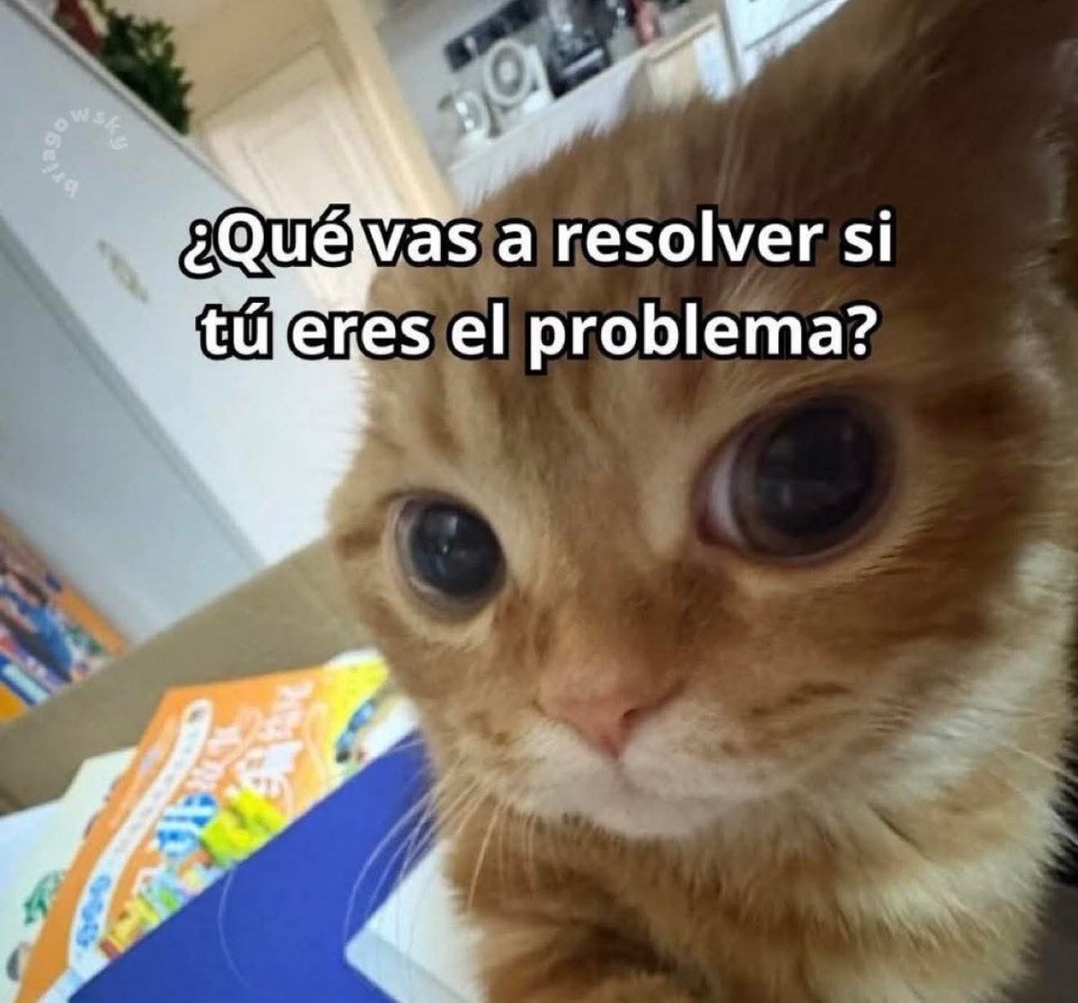 Microbito tweet media