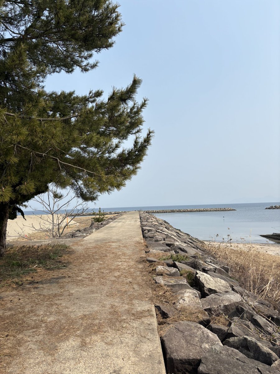 ツチノコ tweet media