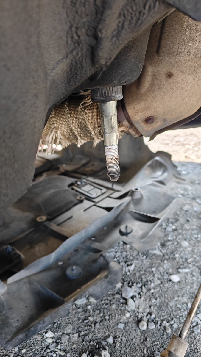 にしも tweet media