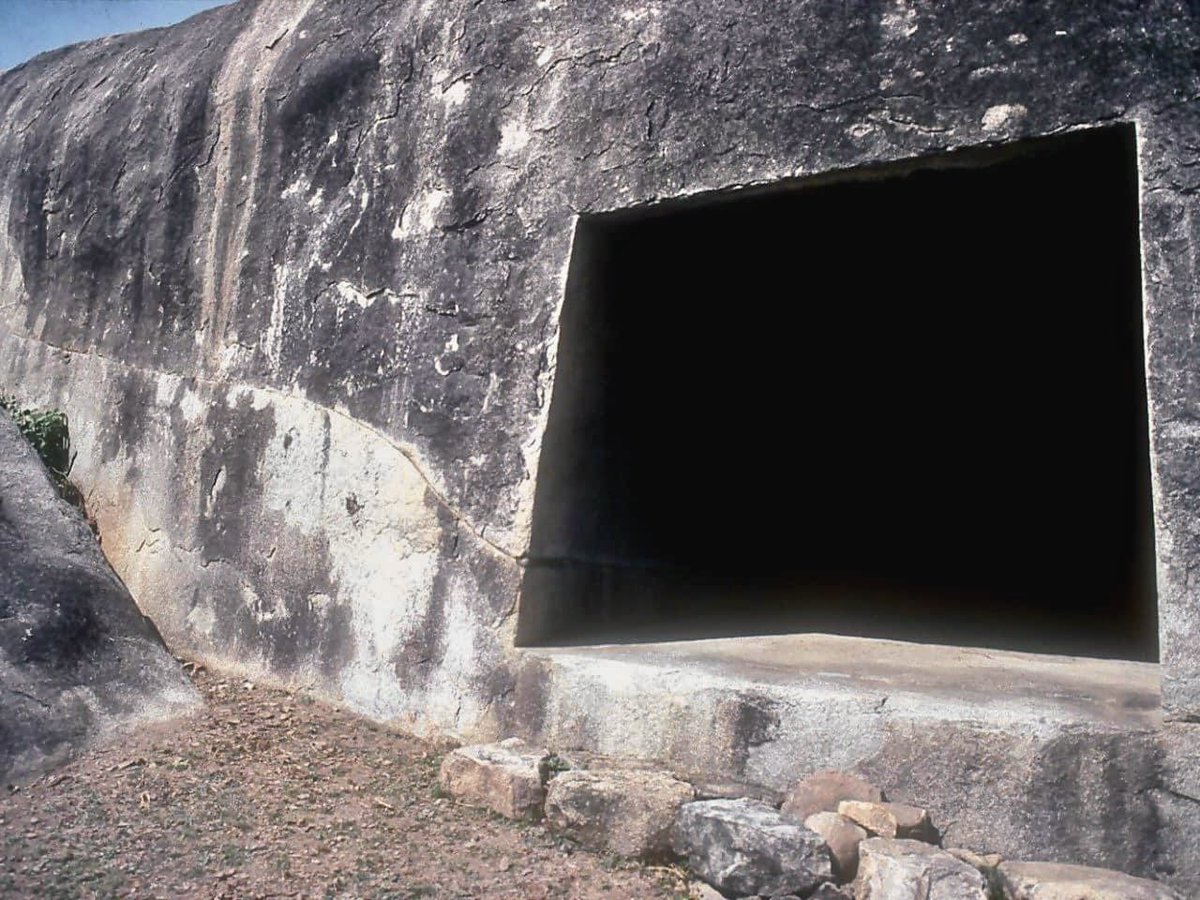 Waken Minds 𓂀 tweet media