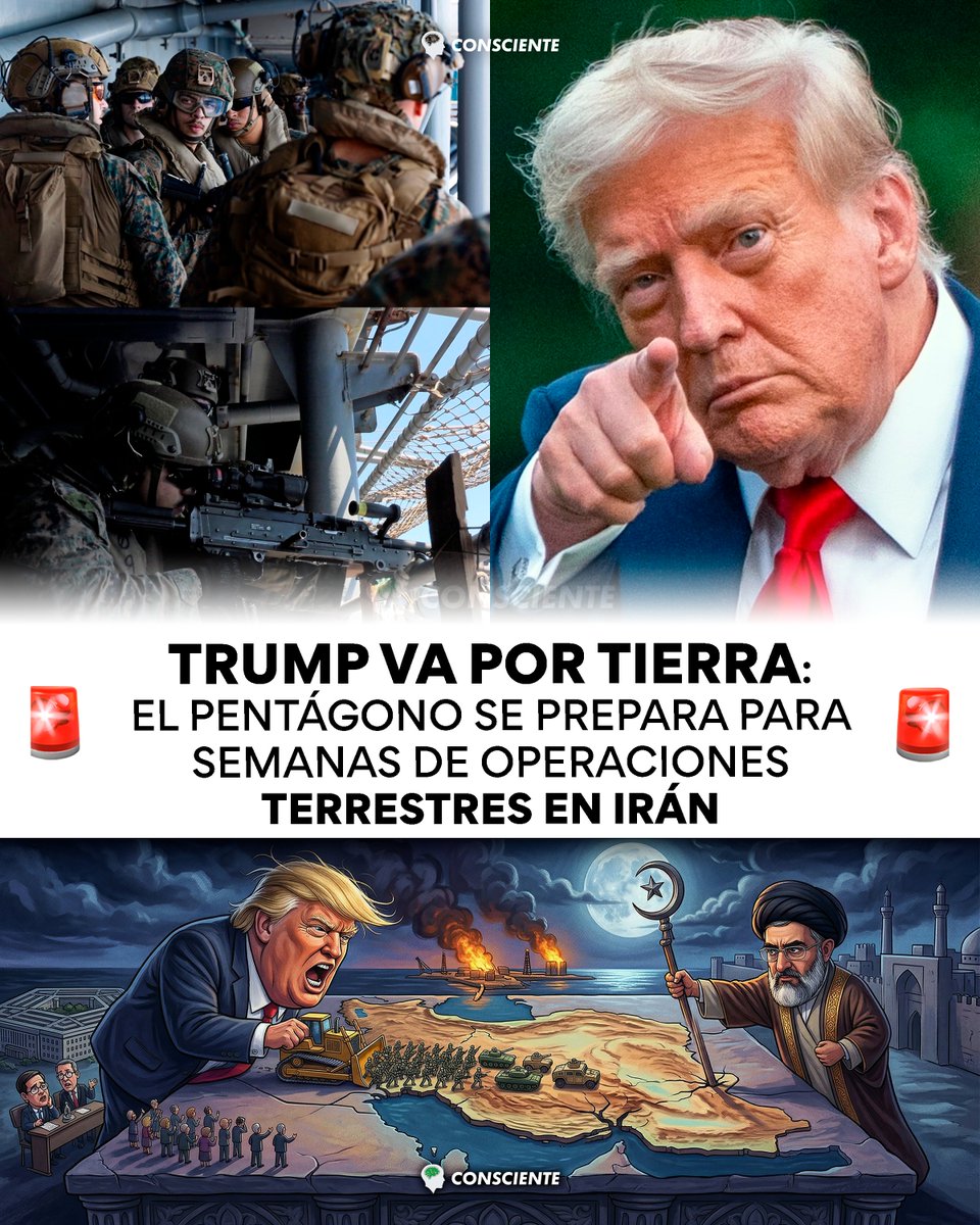 Consciente tweet media