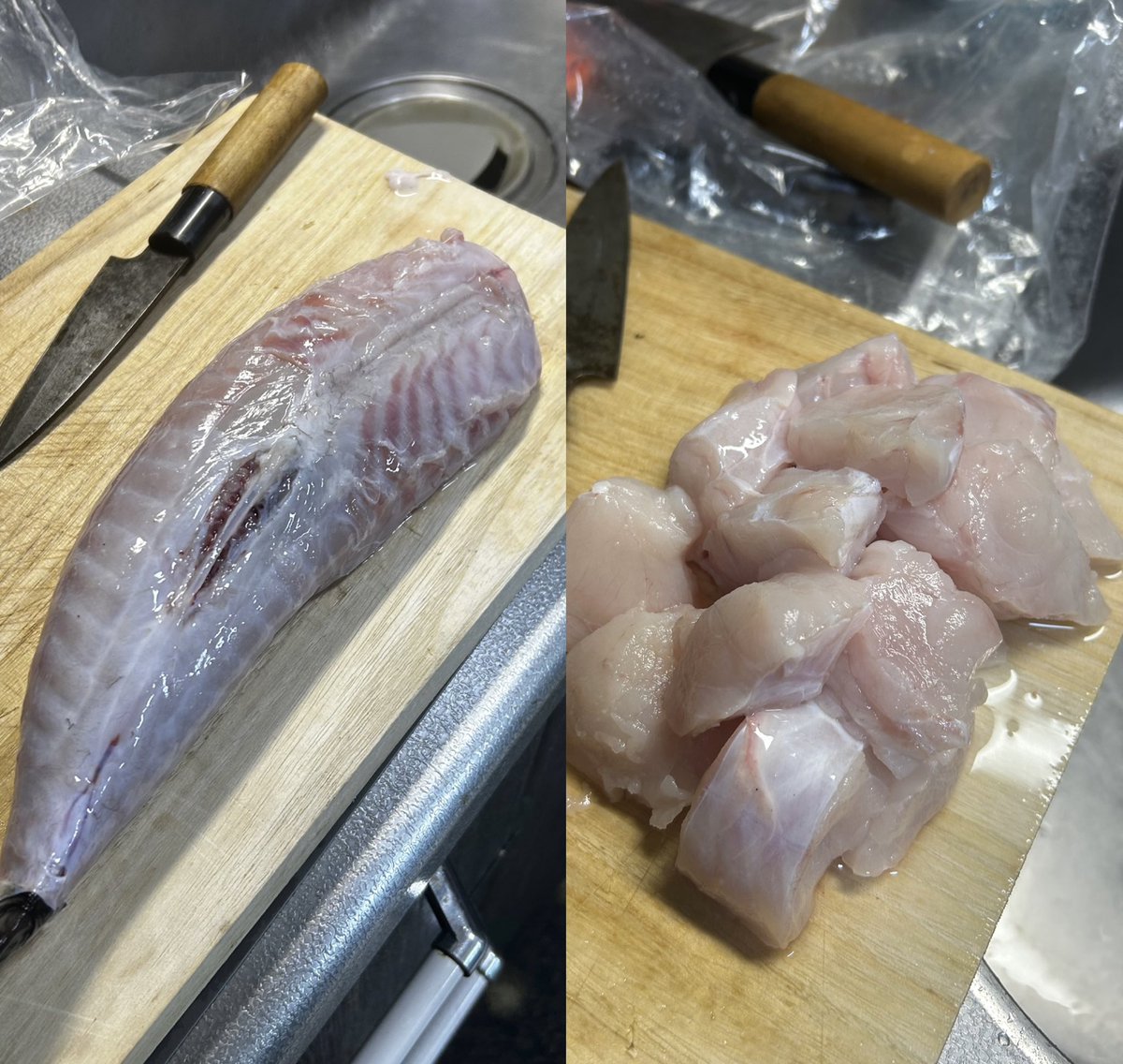 CinpeiTetu's tweet image. 先週釣ったトラフグをてっちり鍋でいただきました！（毒はプロの方に抜いてもらってます。）#釣り　#てっちり　#鍋パ
