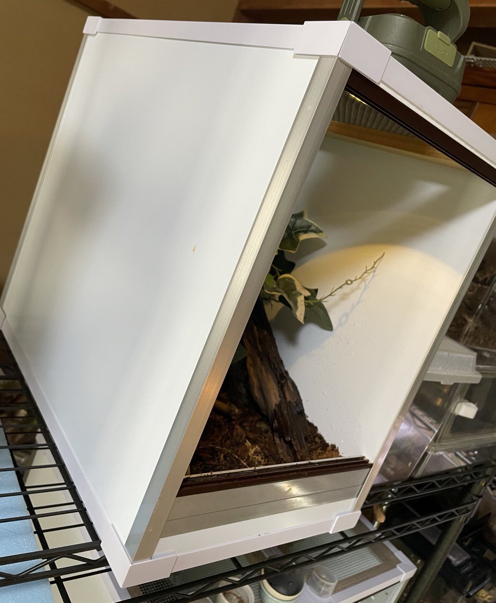 くーろん tweet media