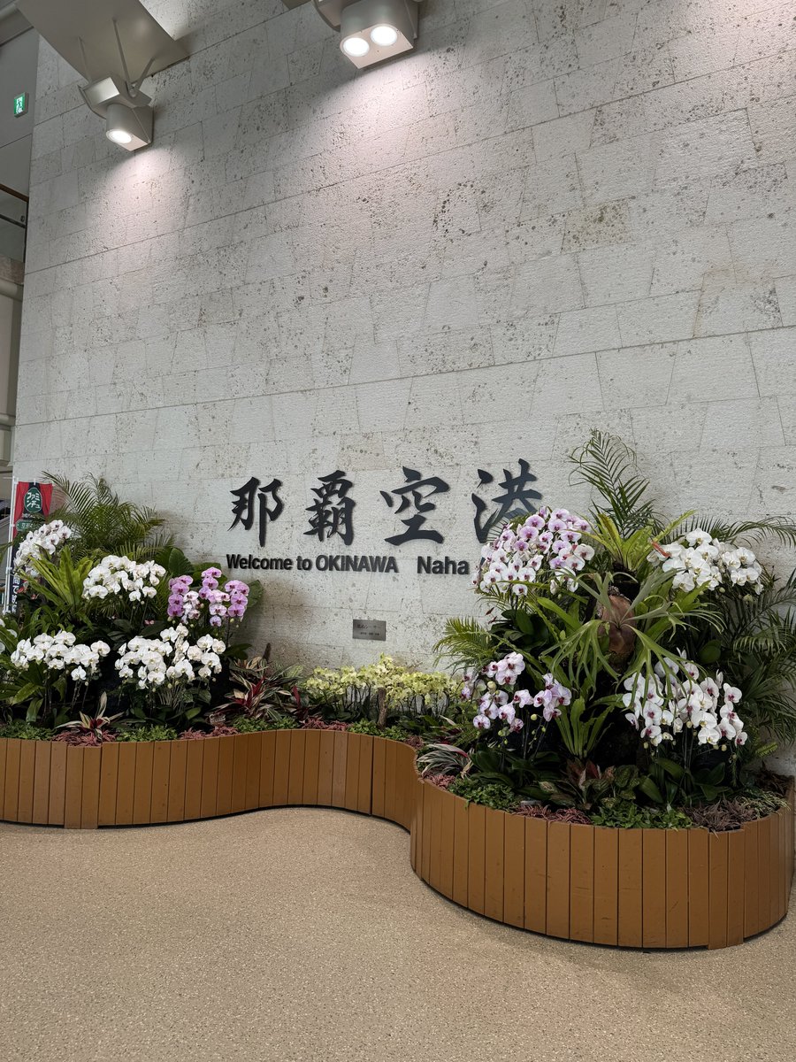 torus_juggler's tweet photo. ありがとう、沖縄 https://t.co/Lw2lWDgLnE