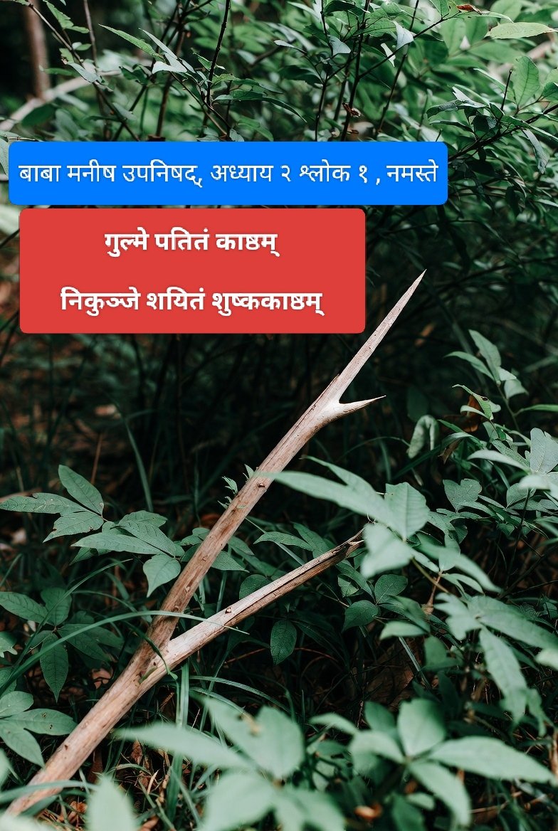 grtbabamanish's tweet image. #value #yourself
गैर बसपाई लंपटों के साथ समस्या ये है, इन्हें मुफ्त में बिना किसी शर्त के मदद व समर्थन चाहिए !

जब इनकी फटती: फटत: फ़टन्ती: कोई कर दे तो रातों रात दलित बहुजन हो जाते है !

सामुदायिक विचारों को इन्होंने हलवा समझ लिया जब ये अपनी फटी के लड्डू समाज में बंटे तब अपनी