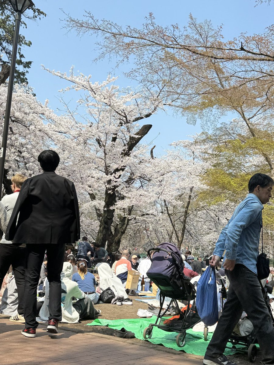 Somas_Drum tweet media