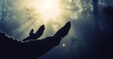 Sherin Helal tweet media