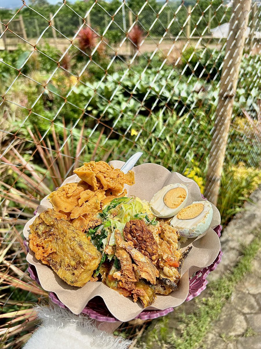 🐻🐻 tweet media