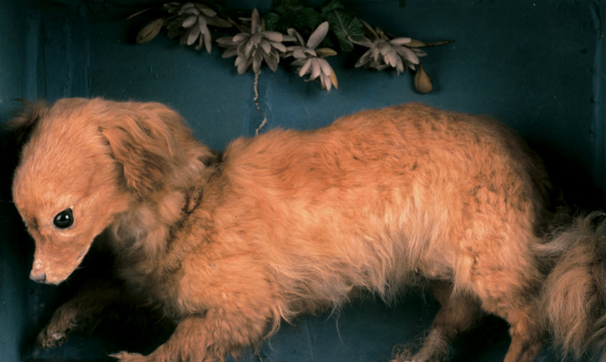 BatteryMaster (C0mms 4/8) tweet media