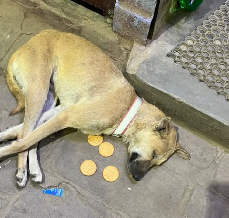 Michael_A&N tweet media