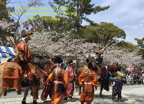 流鏑馬始まるよー