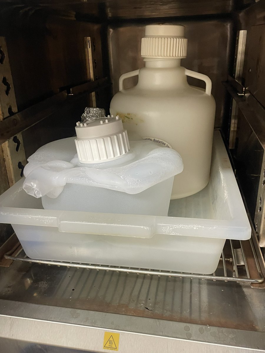 allis🦠n ✨🇺🇸➡️🇯🇵 tweet media