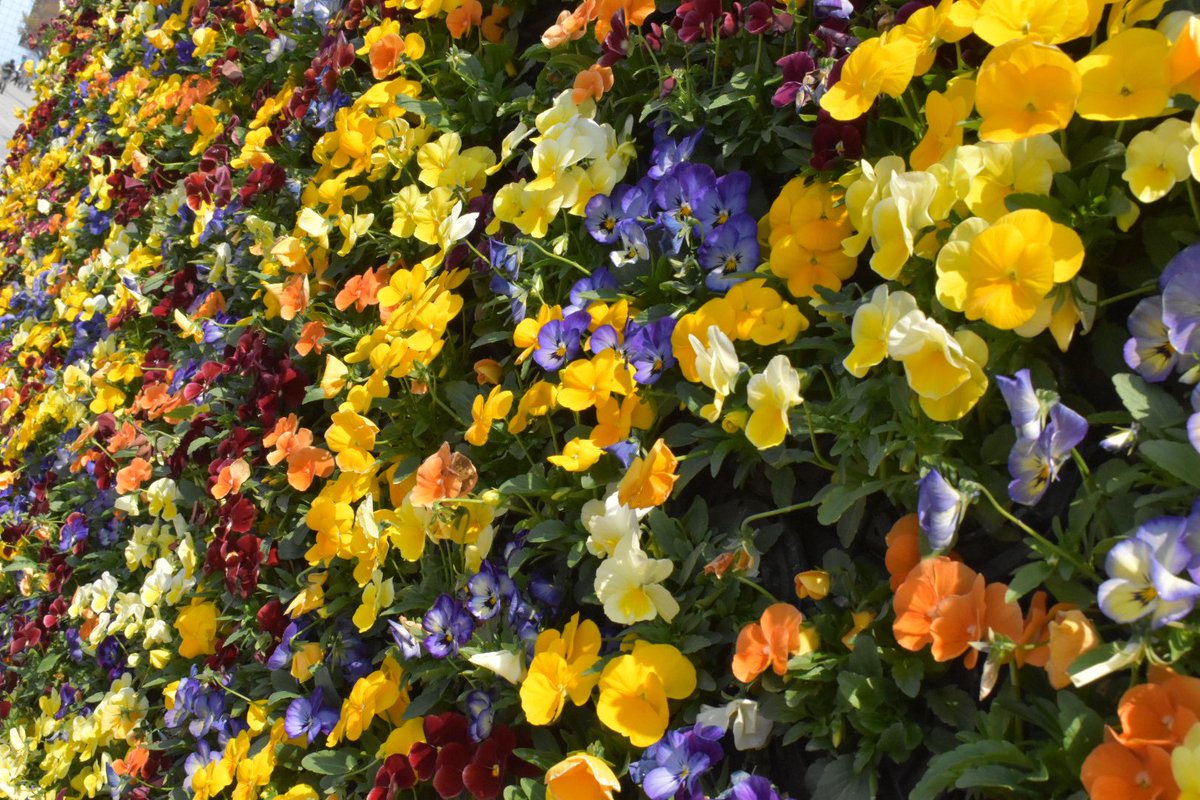 衛藤直毅_Eto Naoki tweet media