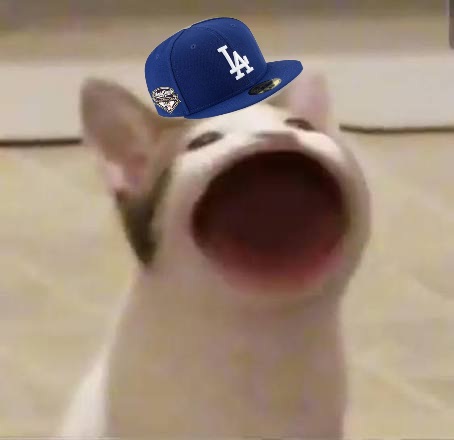 Marcel 1101 tweet media