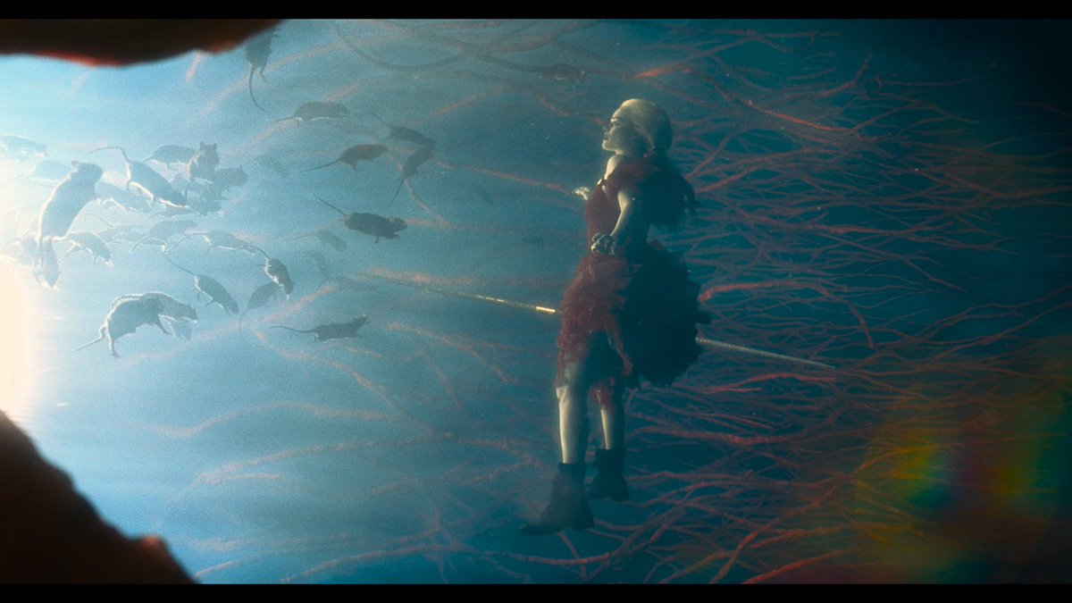 DC Perfect Shots tweet media