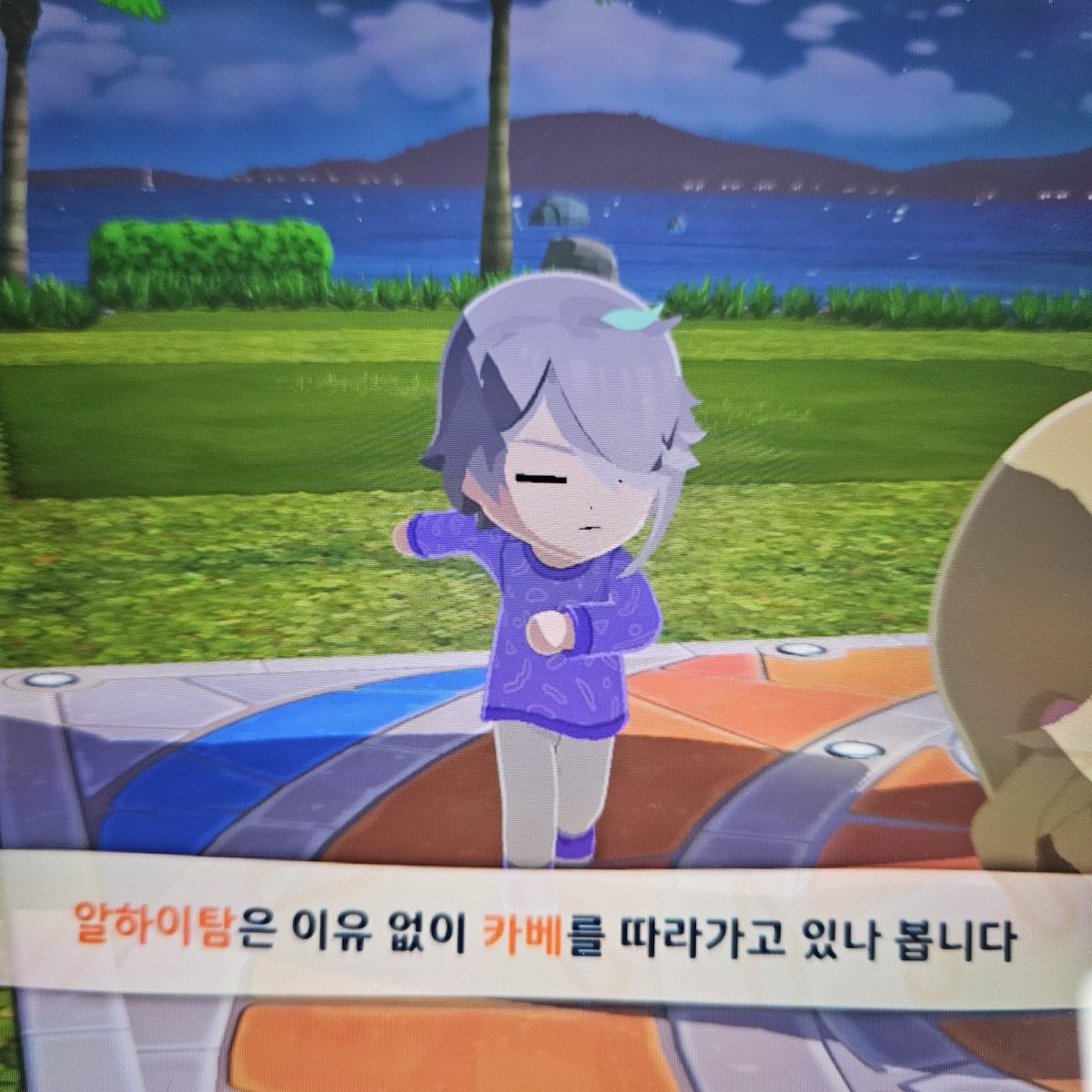 빠이빵 tweet media