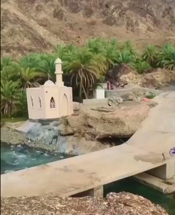 White Spot tweet media