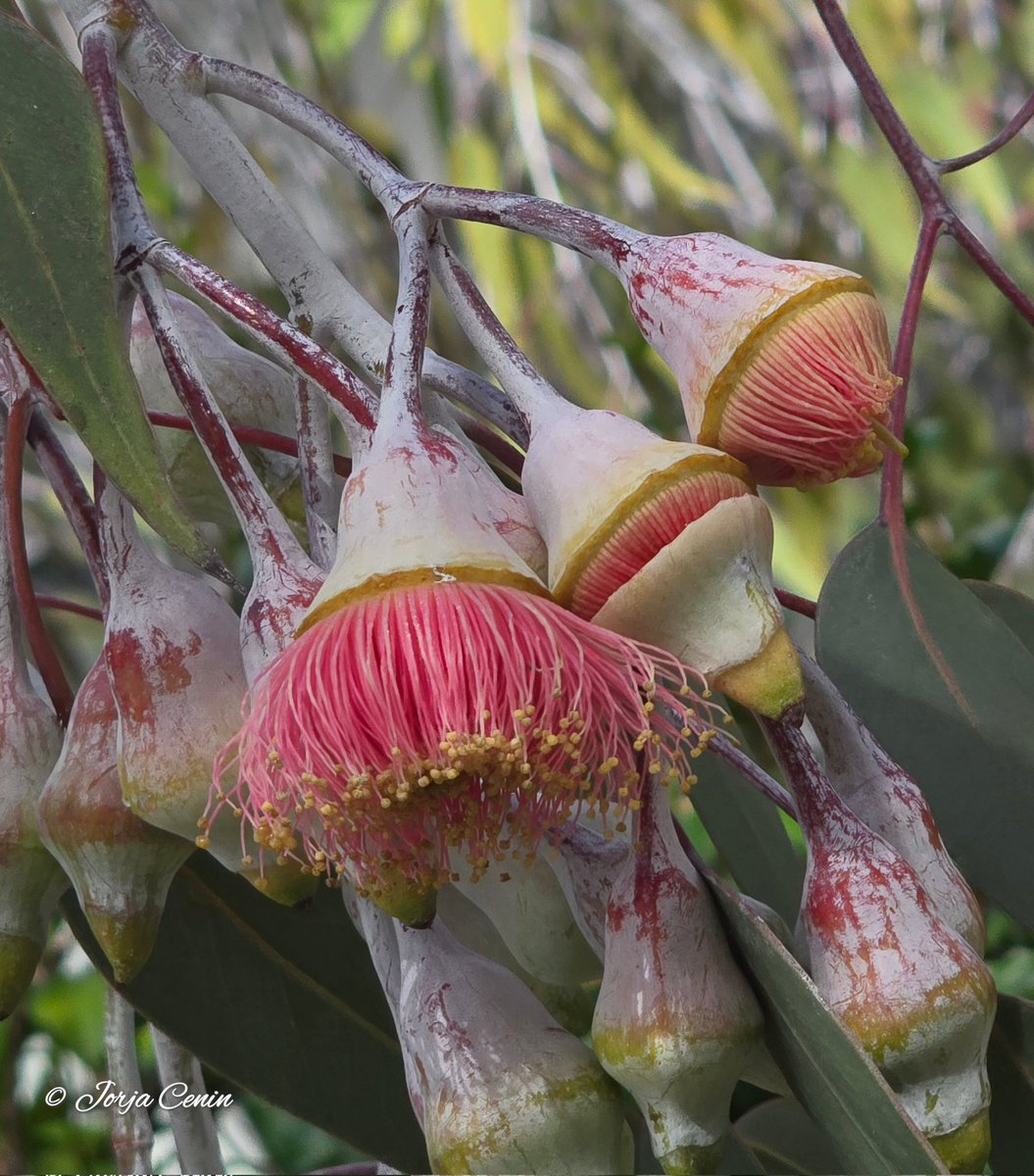 Into Nature Photography with Jorja tweet media