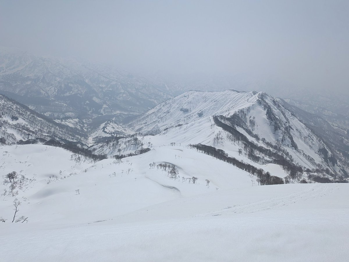 ばたこ tweet media