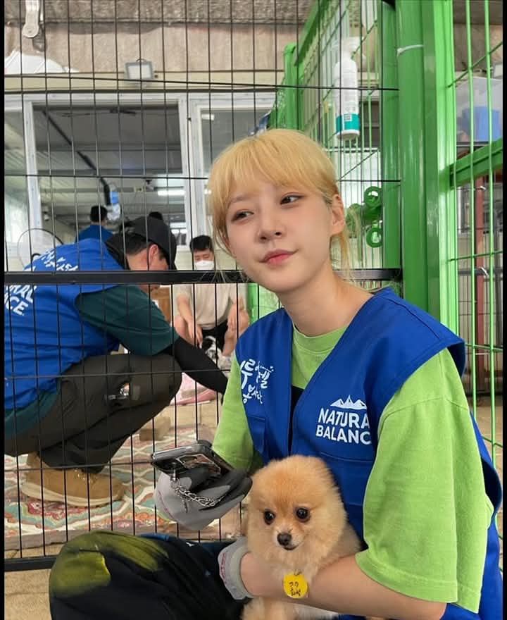 remember_sae tweet media