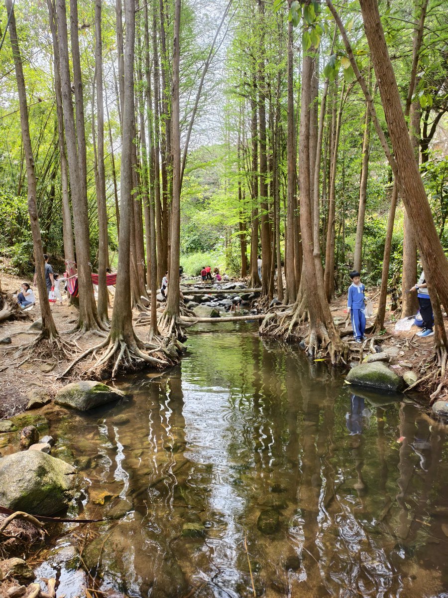 taogangbeng🛸 tweet media