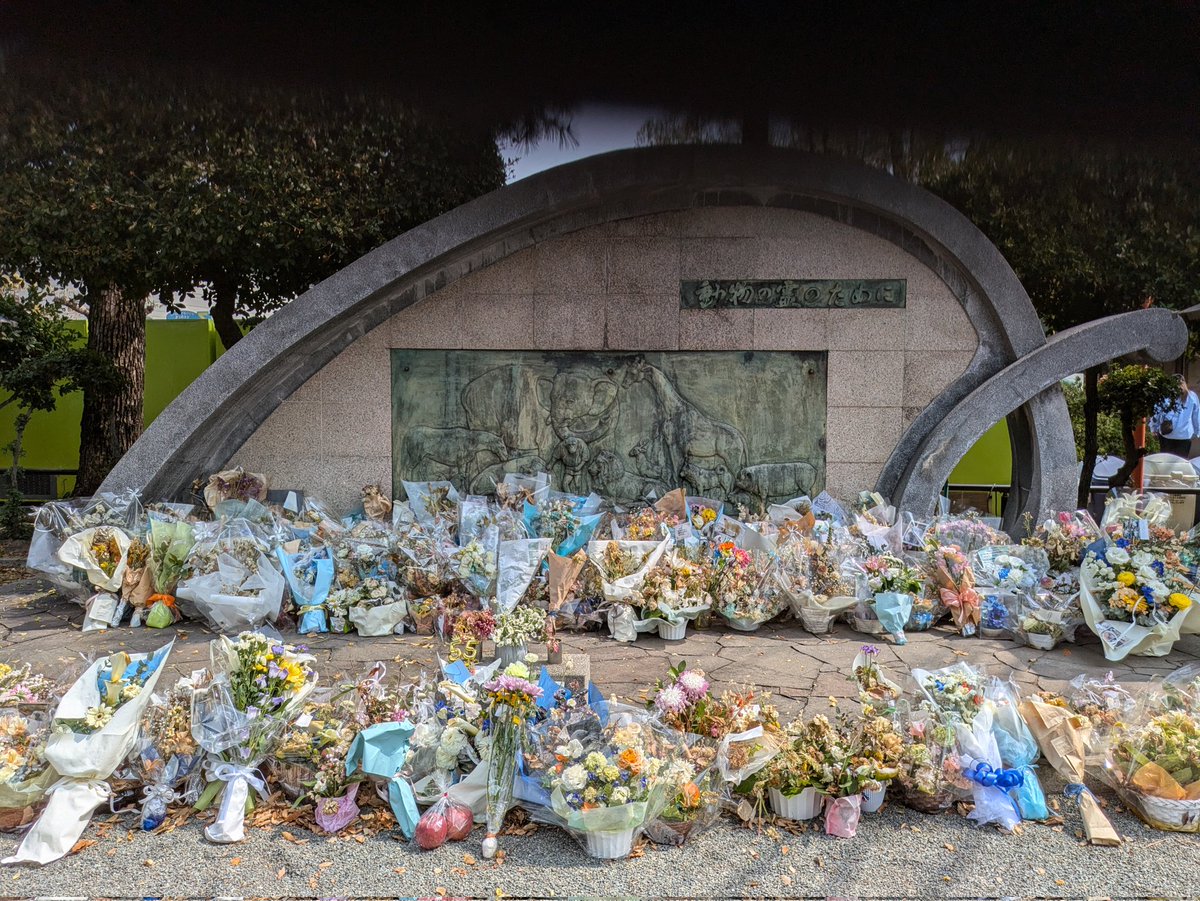 ばら*みるく* tweet media