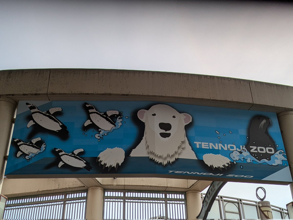 ばら*みるく* tweet media