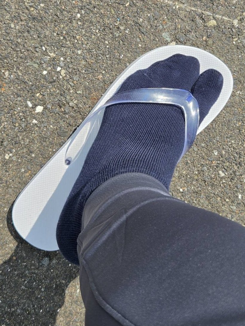 GShibata tweet media