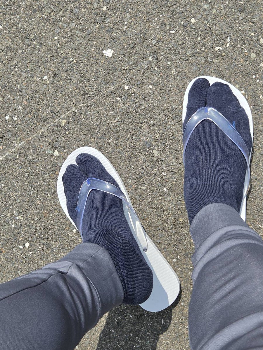 GShibata tweet media