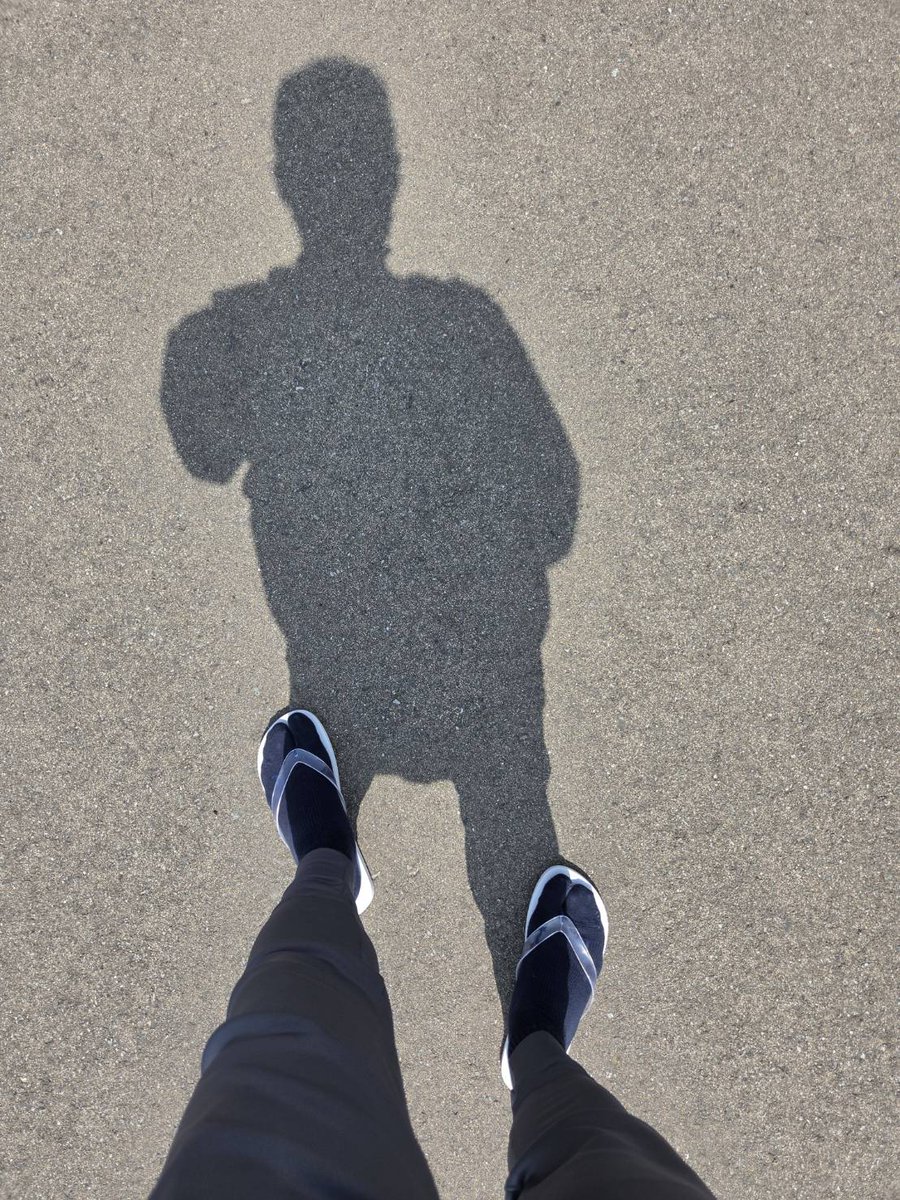 GShibata tweet media