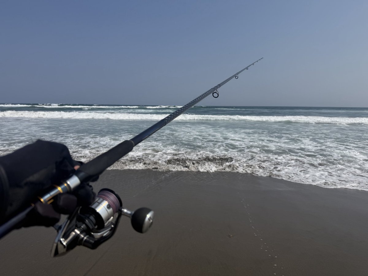 釣り太 tweet media