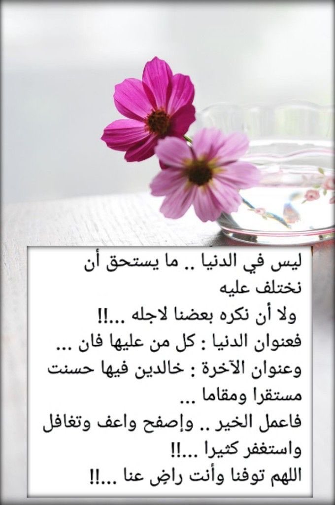 ♥️عاشقة الجنان♥️ tweet media