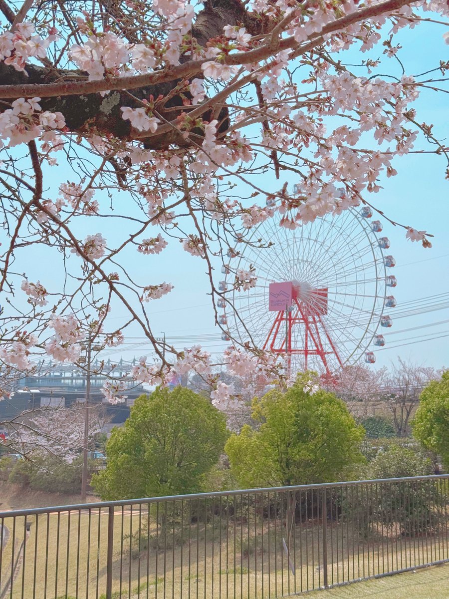 ひかがみひなみ🍰にじそ11 南2/A-58 tweet media