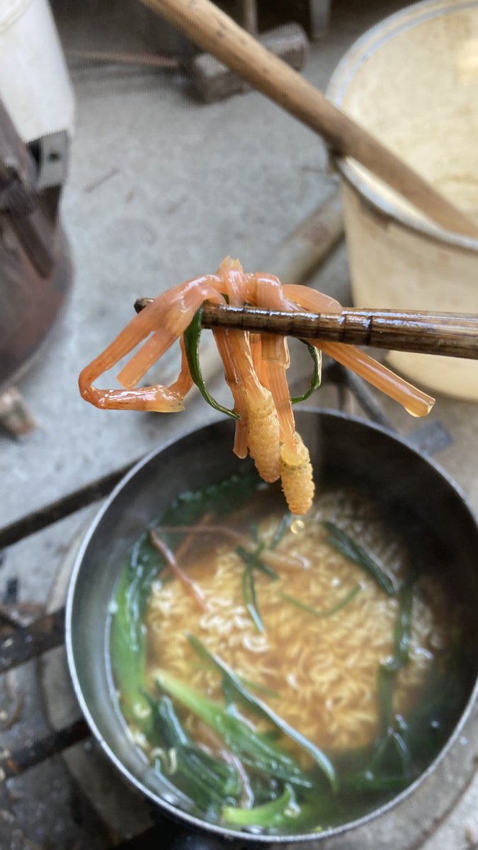 んまんま@車なし古民家田舎暮らし tweet media